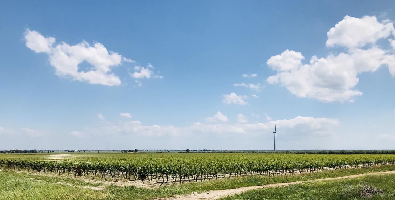 Masseria Nel Sole Hotel Lucera Eksteriør billede